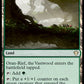 (296/322) Magic The Gathering Commander: Ikoria Single: Oran-Rief, the Vastwood  Rare