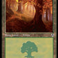 (296) Magic The Gathering Innistrad Remastered Single: Forest (V.1)  Land