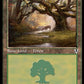 (297) Magic The Gathering Innistrad Remastered Single: Forest (V.2)  Land