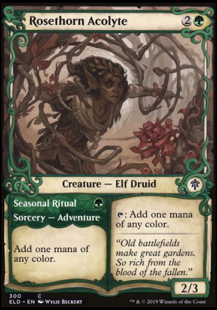 (300) Magic The Gathering Throne of Eldraine: Extras Single: Rosethorn Acolyte // Seasonal Ritual Holo Common