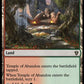 (301) Magic The Gathering Commander: Murders at Karlov Manor Single: Temple of Abandon  Rare