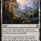 (302) Magic The Gathering Commander: Bloomburrow Single: Evolving Wilds  Common