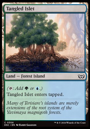 (306) Magic The Gathering Commander: Duskmourn: House of Horror Single: Tangled Islet  Common