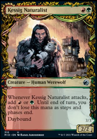 (310) Magic The Gathering Innistrad: Midnight Hunt: Extras Single: Kessig Naturalist // Lord of the Ulvenwald  Uncommon
