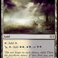 (316/332) Magic The Gathering Double Masters Single: Fetid Heath  Rare