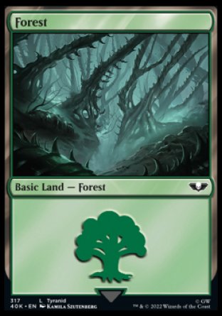 (317) Magic The Gathering Universes Beyond: Warhammer 40000 Single: Forest  Land