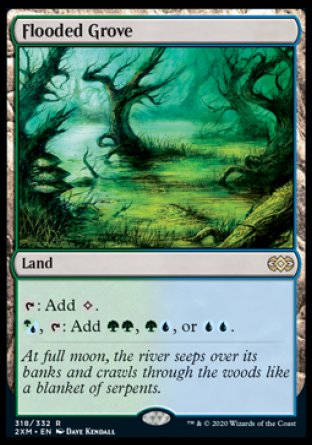 (318/332) Magic The Gathering Double Masters Single: Flooded Grove Holo Rare