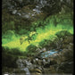 (322) Magic The Gathering Universes Beyond: Fallout Single: Swamp (V.2)  Holo Land