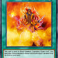 (EN085) YuGiOh TCG DCR: Dark Crisis Single: Incandescent Ordeal (V.2 - Common)  Common