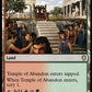 (338) Magic The Gathering Commander: Bloomburrow Single: Temple of Abandon  Rare