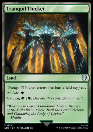 (341) Magic The Gathering Commander: The Lord of the Rings: Tales of Middle-earth Single: Tranquil Thicket  Uncommon