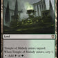 (341) Magic The Gathering Commander: Bloomburrow Single: Temple of Malady  Rare