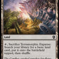 (345) Magic The Gathering Commander: Bloomburrow Single: Terramorphic Expanse  Common