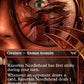 (347) Magic The Gathering Duskmourn: House of Horror: Extras Single: Razorkin Needlehead  Rare