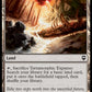 (357/361) Magic The Gathering Commander Legends Single: Terramorphic Expanse Holo Common