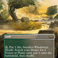 (360) Magic The Gathering Modern Horizons 3: Extras Single: Windswept Heath (V.1)  Holo Rare