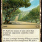 (360) Magic The Gathering Commander: Tarkir: Dragonstorm Single: Exotic Orchard  Rare