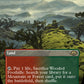 (361) Magic The Gathering Modern Horizons 3: Extras Single: Wooded Foothills (V.1)  Holo Rare
