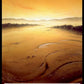 (373) Magic The Gathering Double Masters: Extras Single: Plains (V.1)  Land