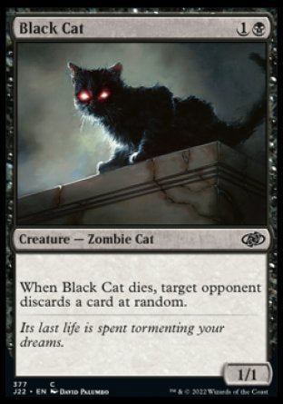 (377) Magic The Gathering Jumpstart 2022 Single: Black Cat  Common