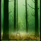 (381) Magic The Gathering Double Masters: Extras Single: Forest (V.1) Holo Land