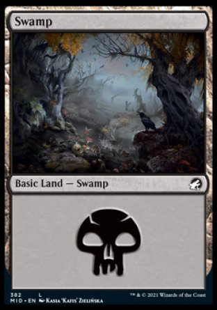 (382) Magic The Gathering Innistrad: Midnight Hunt: Extras Single: Swamp Holo Land