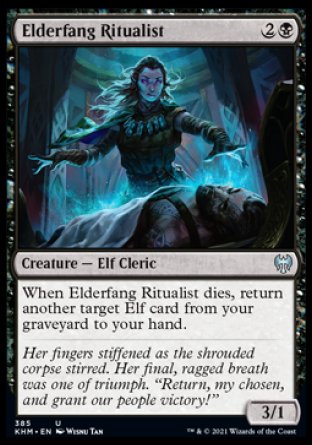 (385) Magic The Gathering Kaldheim: Extras Single: Elderfang Ritualist  Uncommon