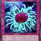(098) YuGiOh TCG DUOV: Duel Overload Single: Paleozoic Dinomischus  Ultra Rare