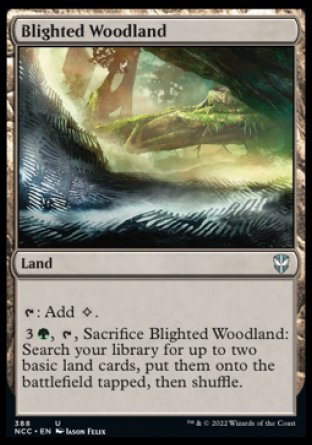 (388) Magic The Gathering Commander: Streets of New Capenna Single: Blighted Woodland  Uncommon