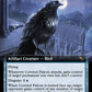 (393) Magic The Gathering Murders at Karlov Manor: Extras Single: Coveted Falcon  Rare