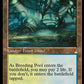 (399) Magic The Gathering Ravnica Remastered: Extras Single: Breeding Pool (V.2)  Holo Rare