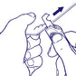 TAMIYA: Plastic Scriber II