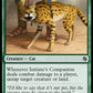 (403) Magic The Gathering Jumpstart Single: Initiate's Companion  Common