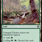 (408) Magic The Gathering Commander: Strixhaven Single: Tranquil Thicket  Common