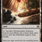 (439) Magic The Gathering Commander: March of the Machine Single: Terramorphic Expanse  Common