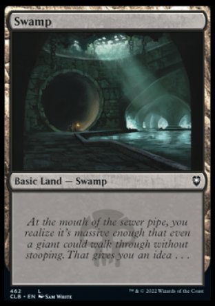 (462) Magic The Gathering Commander Legends: Battle for Baldur's Gate: Extras Single: Swamp (V.4) Holo Land