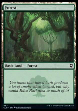 (467) Magic The Gathering Commander Legends: Battle for Baldur's Gate: Extras Single: Forest (V.1)  Land