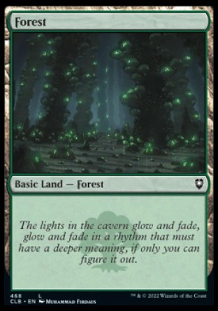 (468) Magic The Gathering Commander Legends: Battle for Baldur's Gate: Extras Single: Forest (V.2) Holo Land