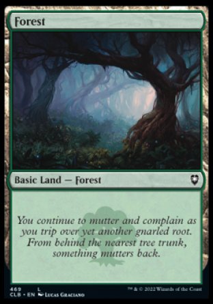 (469) Magic The Gathering Commander Legends: Battle for Baldur's Gate: Extras Single: Forest (V.3) Holo Land