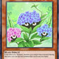 (107) YuGiOh TCG HAC1: Hidden Arsenal: Chapter 1 Single: Naturia Hydrangea (V.1 - Common)  Common