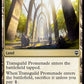 (499/361) Magic The Gathering Commander Legends: Extras Single: Transguild Promenade  Common