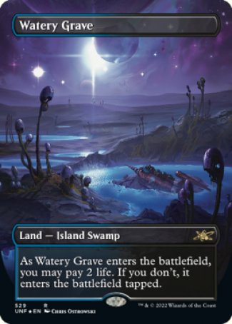 (529) Magic The Gathering Unfinity: Extras Single: Watery Grave (V.2)  Rare