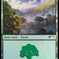 (573) Magic The Gathering Secret Lair Drop Series Single: Forest (V.6)  Land