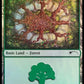 (574) Magic The Gathering Secret Lair Drop Series Single: Forest (V.7)  Land