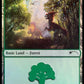 (575) Magic The Gathering Secret Lair Drop Series Single: Forest (V.8)  Land