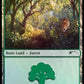 (576) Magic The Gathering Secret Lair Drop Series Single: Forest (V.9) Holo Land
