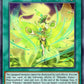 (348) YuGiOh TCG MP24: 25th Anniversary Tin: Dueling Mirrors Single: Mikanko Dance - Mayowashidori  Common