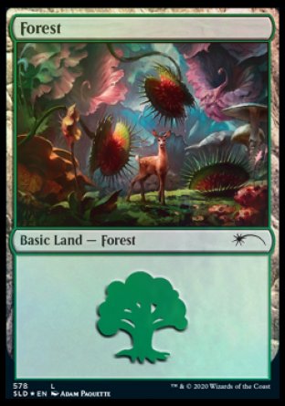 (578) Magic The Gathering Secret Lair Drop Series Single: Forest (V.11) Holo Land