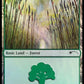 (579) Magic The Gathering Secret Lair Drop Series Single: Forest (V.12)  Land