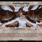 (582) Magic The Gathering Universes Beyond: Doctor Who Single: Fixed Point in Time  Common